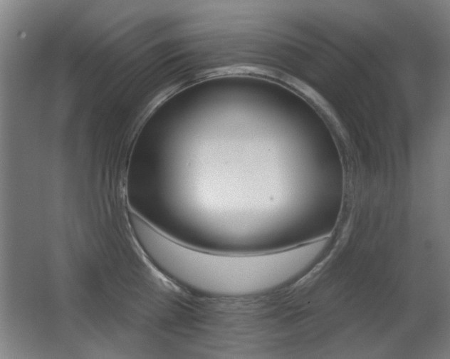 X0000062890809200601131015