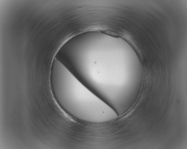X0000062890810200601131015