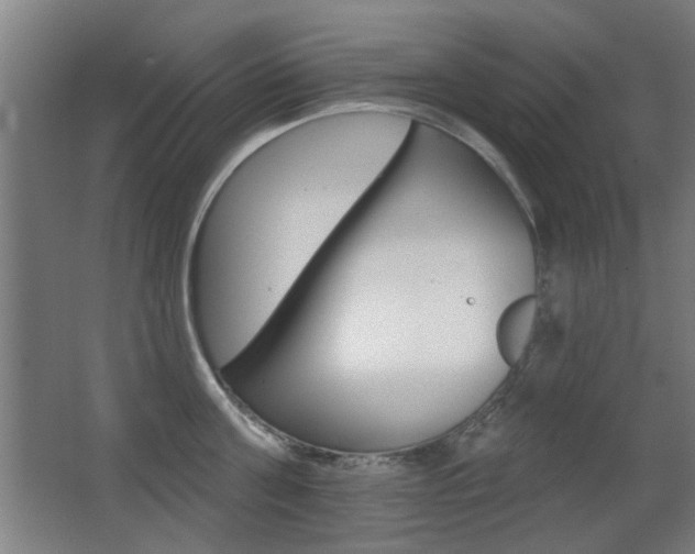 X0000062890811200601131015