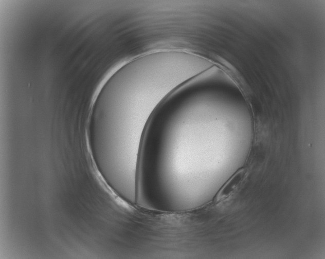 X0000062890812200601131015
