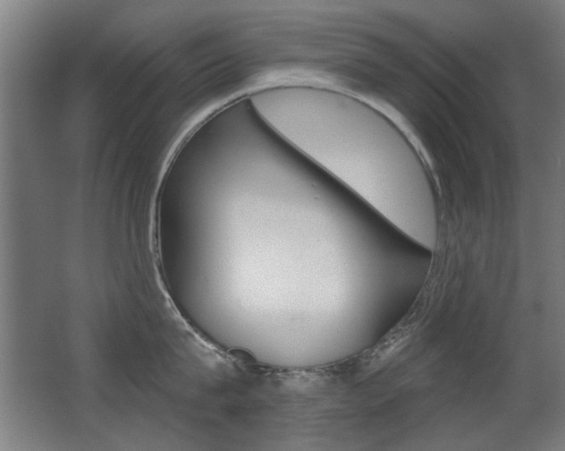 X0000062890815200601131015