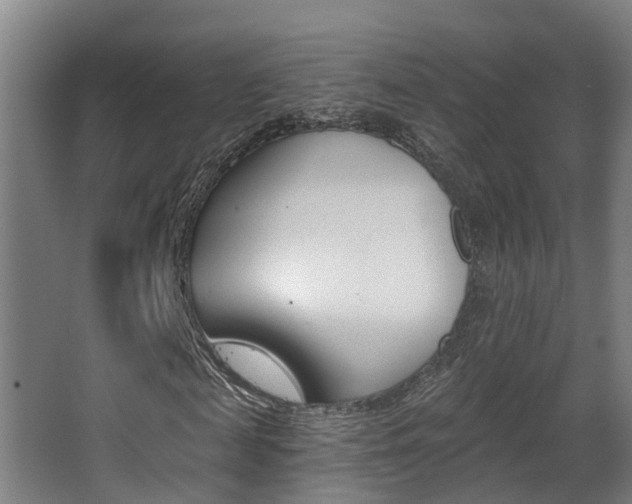 X0000062890817200601131014