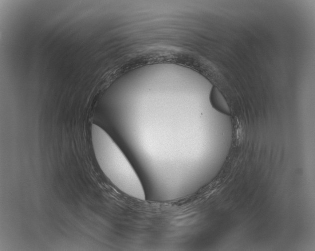 X0000062890819200601131014