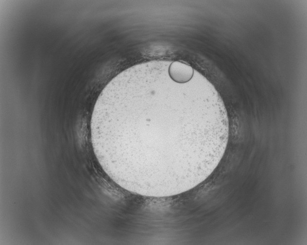 X0000062890820200601131014