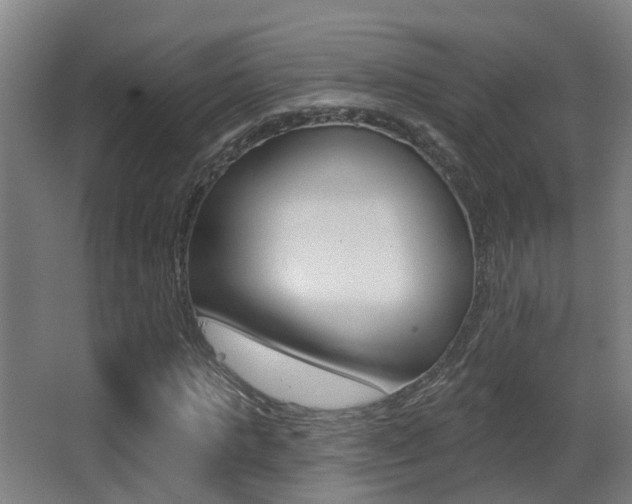 X0000062890821200601131014