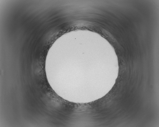 X0000062890824200601131014