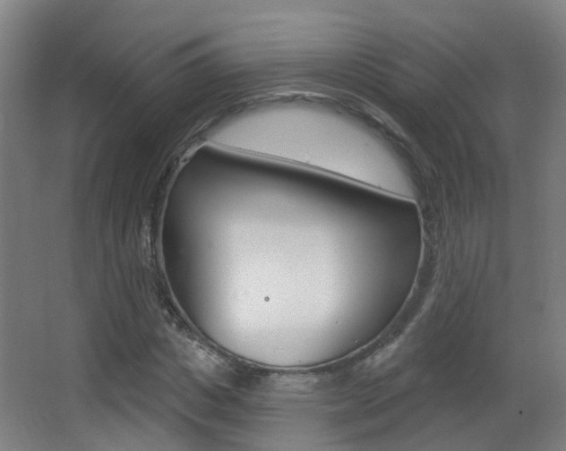 X0000062890825200601131014