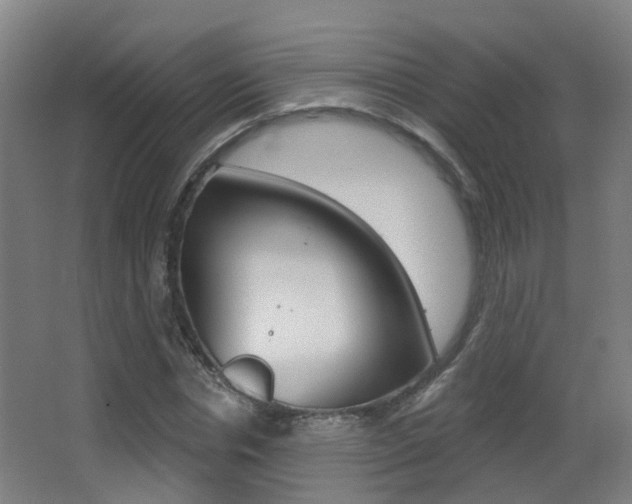 X0000062890826200601131014