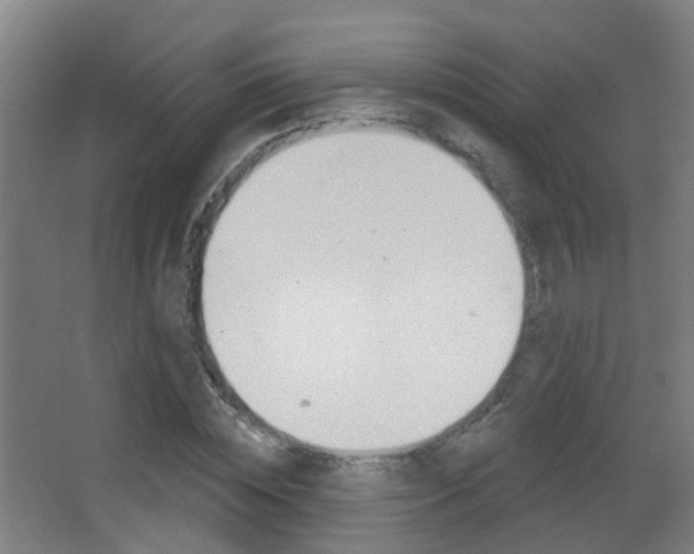 X0000062890828200601131014