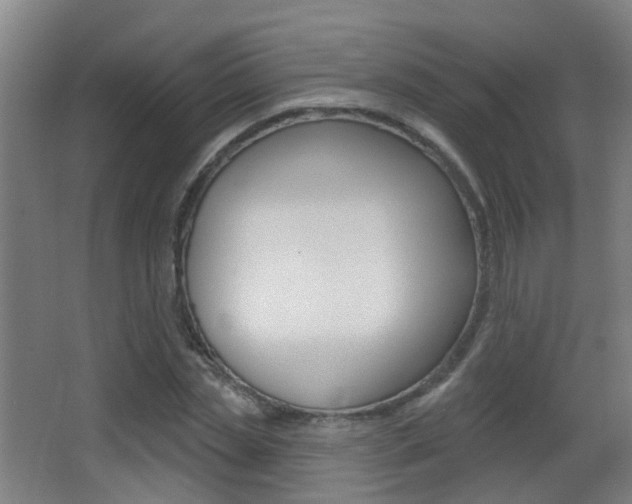 X0000062890829200601131014