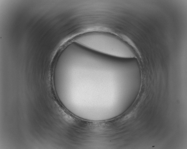 X0000062890831200601131014