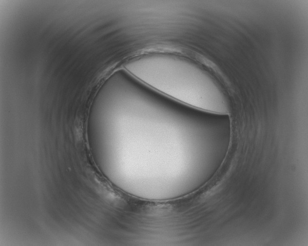 X0000062890833200601131014