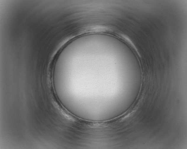 X0000062890835200601131014