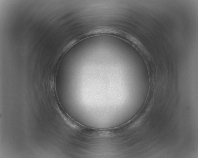 X0000062890841200601131015