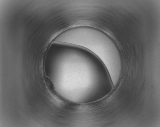 X0000062890842200601131015