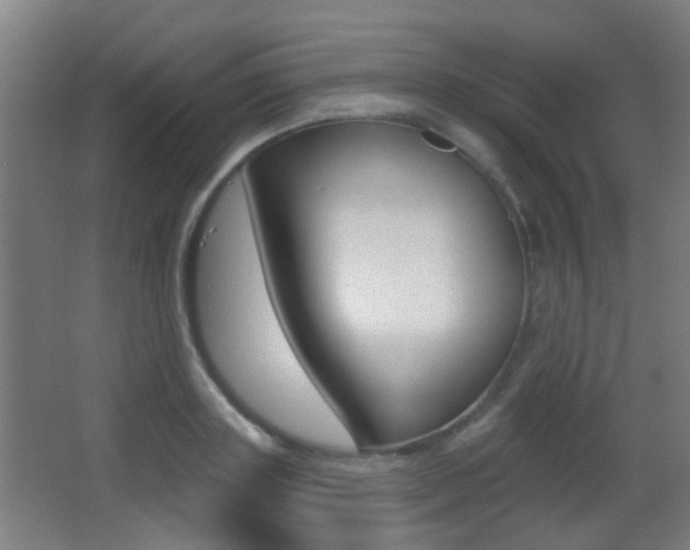 X0000062890843200601131015