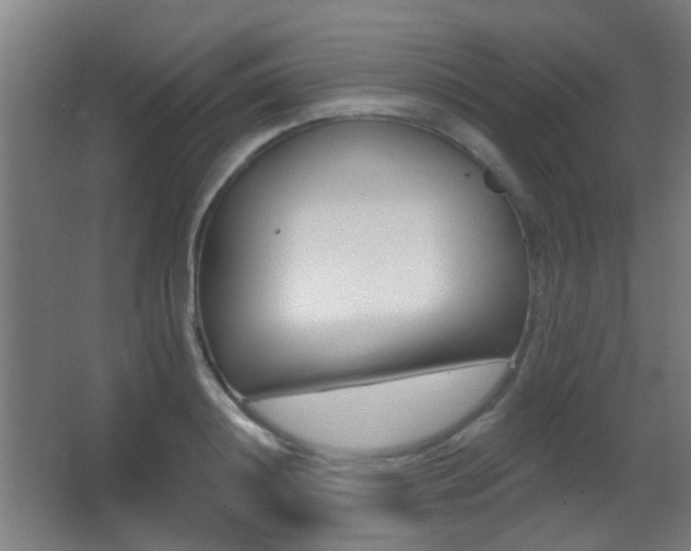 X0000062890844200601131015