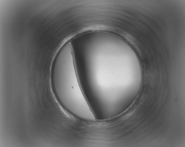 X0000062890845200601131015