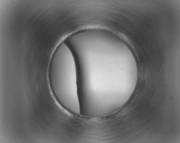 X0000062890847200601131015
