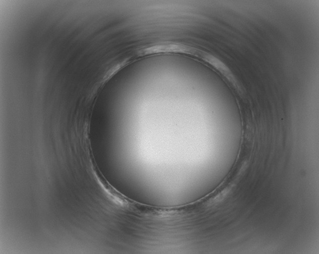 X0000062890849200601131015