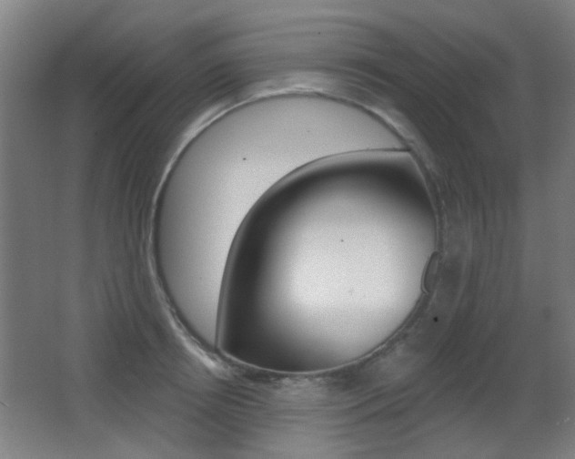 X0000062890850200601131015