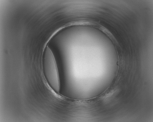 X0000062890852200601131015