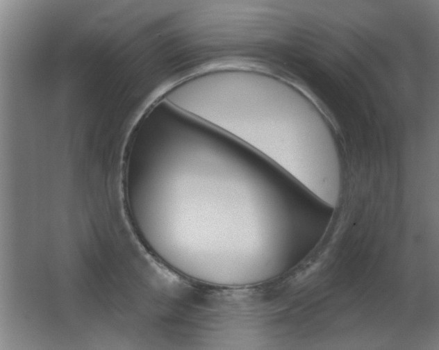 X0000062890853200601131015