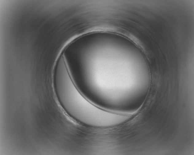 X0000062890854200601131015