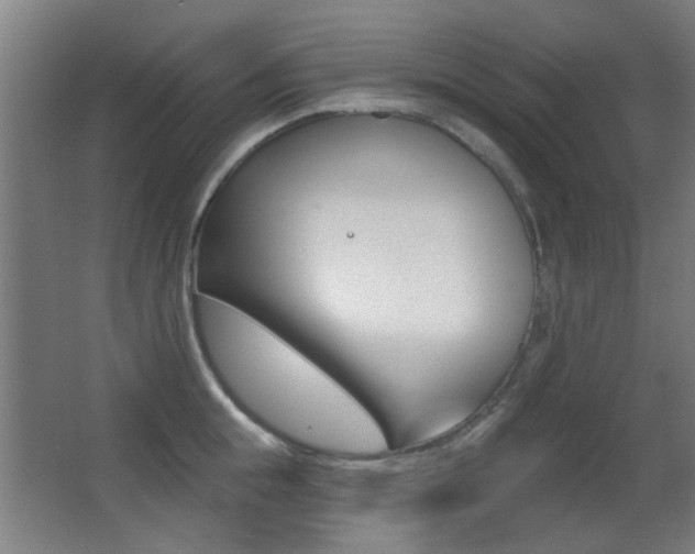 X0000062890855200601131015