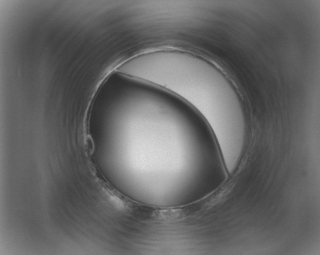 X0000062890858200601131015