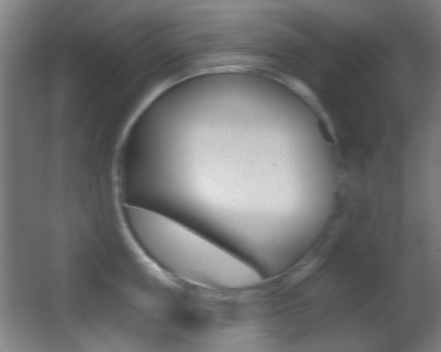 X0000062890859200601131015