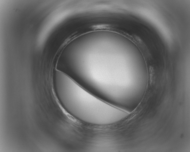 X0000062890861200601131015