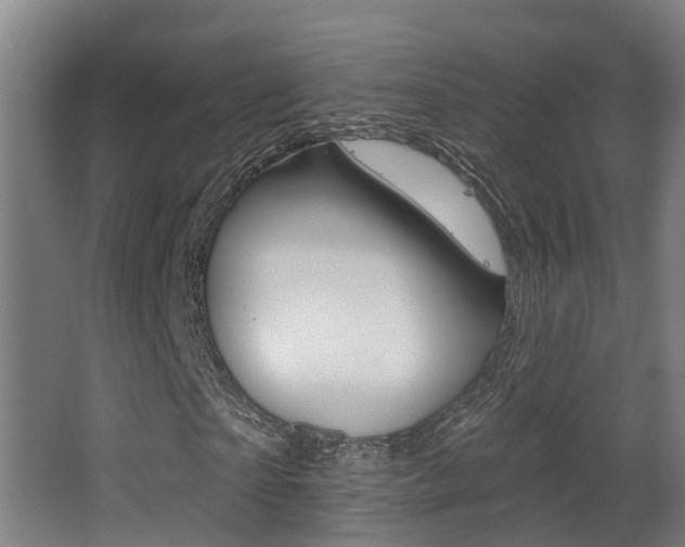 X0000062890865200601131014