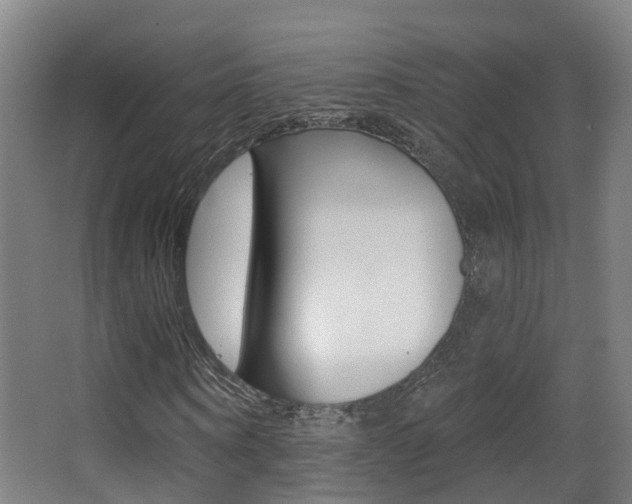 X0000062890866200601131014
