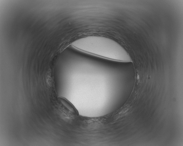 X0000062890867200601131014