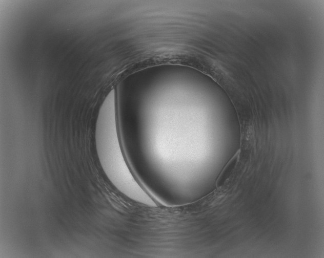 X0000062890868200601131014