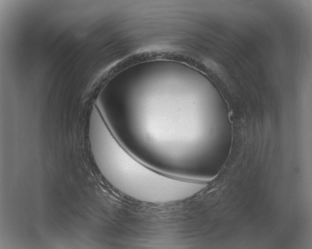 X0000062890872200601131014