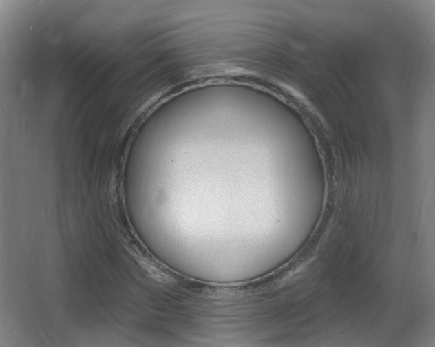 X0000062890873200601131014