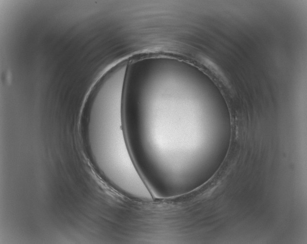 X0000062890876200601131014