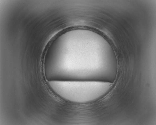 X0000062890879200601131014