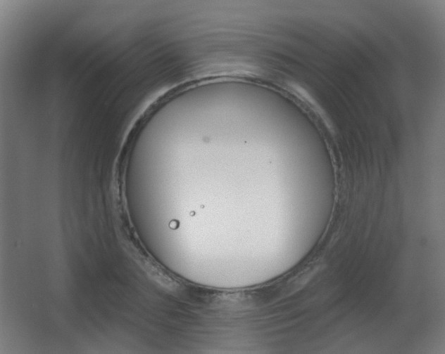 X0000062890883200601131014