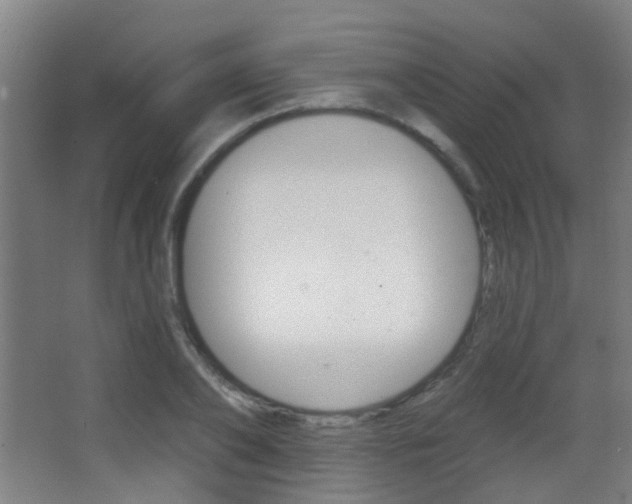 X0000062890886200601131014