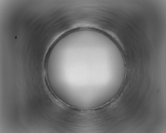 X0000062890887200601131014