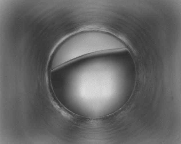 X0000062890888200601131014