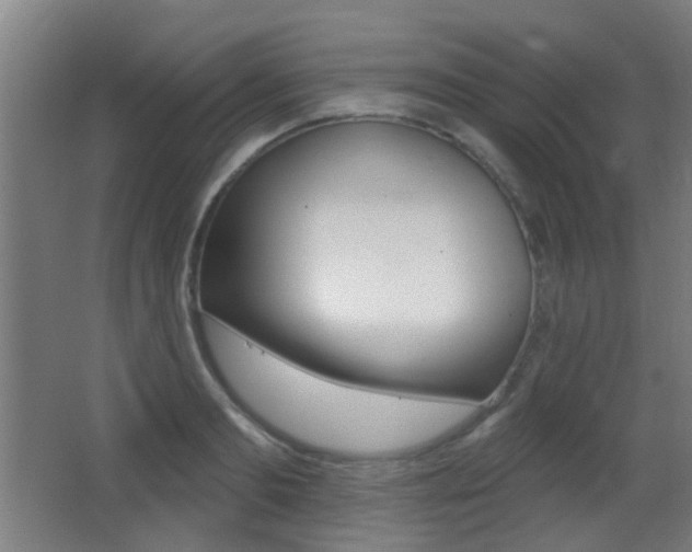 X0000062890893200601131014