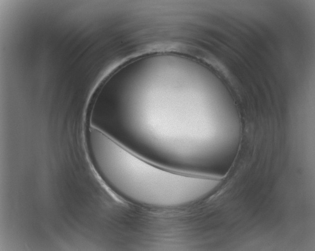 X0000062890894200601131014