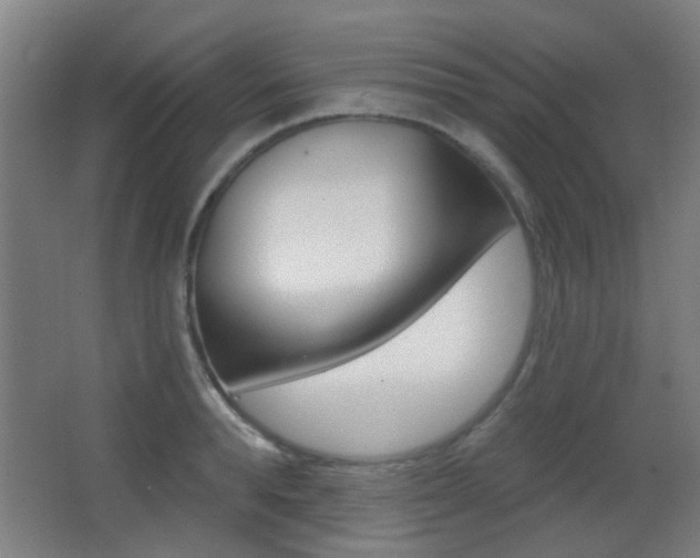 X0000062890896200601131014