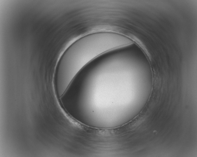 X0000062890901200601131014