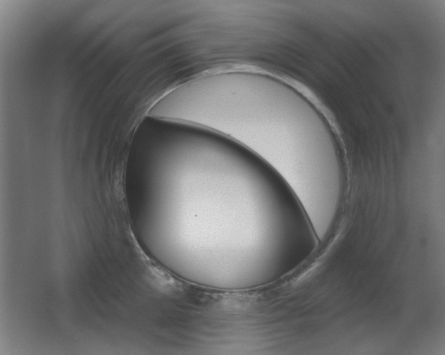 X0000062890905200601131013