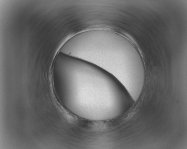 X0000062890907200601131013